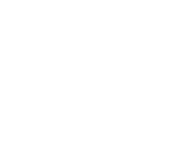 CHOINOMI COURSE