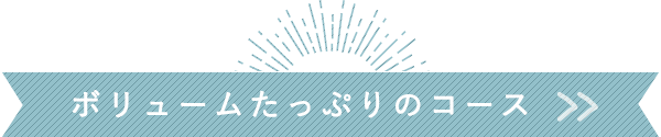 ボリュームたっぷりのコース